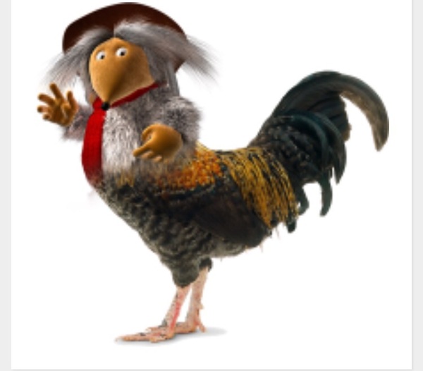Chicken pics