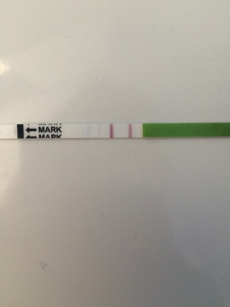OPK opinions please!