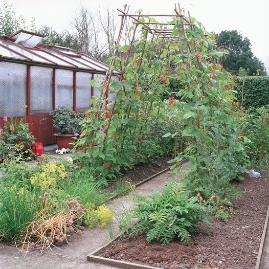 Turning back garden into veg patch