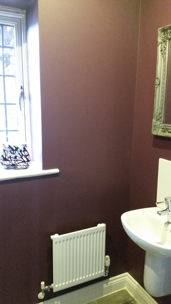 Dark purple cloakroom? Mad or not?