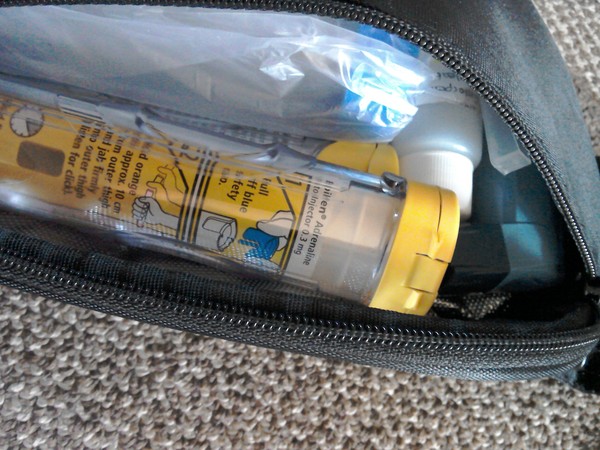Bag for epipens and various medicines