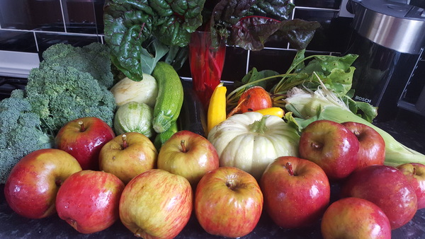 Allotment/Veg Patch - Thread 7 - The Harvesters Arms