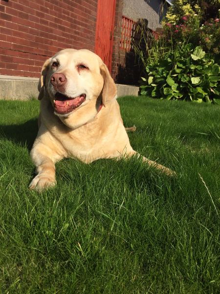 Meet Candy