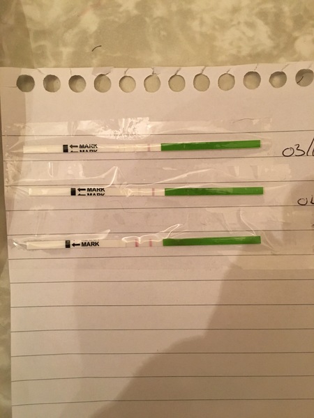 Positive OPK?