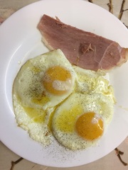 Week 1 - 2016 Pre-Christmas 8 week Low Carb Bootcamp