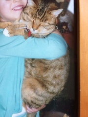 To think this kitten is BROWN!?
