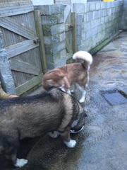 The Friendly Frugaleers, saving and chatting as autumn arrives