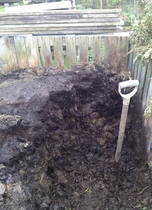 Allotment/Veg Patch - Thread 7 - The Harvesters Arms