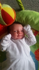 Thread 12 TTC#1 Grads. "You are my favourite thing that ever shit all over my hands"