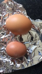 Yay! First egg! But how to get them to lay in the right place?!