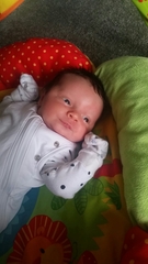 Thread 12 TTC#1 Grads. "You are my favourite thing that ever shit all over my hands"