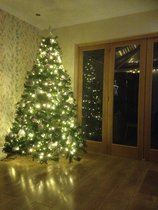 Real or fake tree this Christmas?