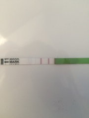 OPK opinions please!