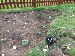 Turning back garden into veg patch