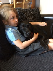 One word which describes your rescue dog ?