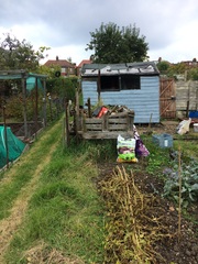 Planet viroid, a spiritual home for all of the shaggers! It's JS 61, this is going to be the big one!