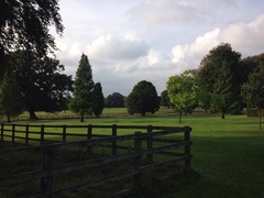 The Friendly Frugaleers, saving and chatting as autumn arrives