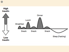 5:2 Thread No. 65: Zap holiday gain when replacement parts are calling from the fridge ? It even has a light to show you the cold pizza 😈 Let's fast & get lean together 😇