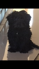 Before and after - a photo thread