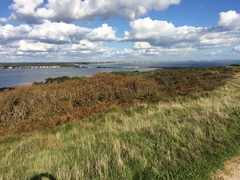 Brave Babes Battle Bus - Holding our heads up like thistles
