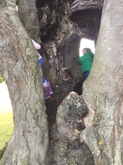 The Friendly Frugaleers, figuring out our finances with furry feline photos!