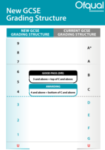 To be extremely concerned that DS (yr9)  school has decided that achieving  GCSE level 4s in Maths/English will be good attainment for most pupils.