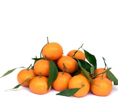 What naice things do you make sure are visible to visitors