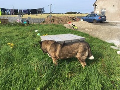 The Friendly Frugaleers, saving and chatting as autumn arrives