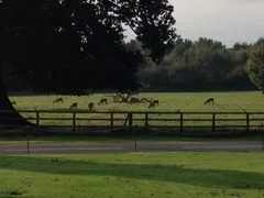 The Friendly Frugaleers, saving and chatting as autumn arrives