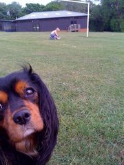 Show me your dogs while I'm waiting for mine!