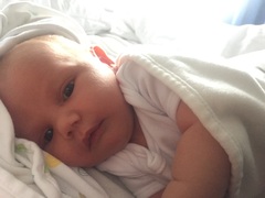 Thread 12 TTC#1 Grads. "You are my favourite thing that ever shit all over my hands"