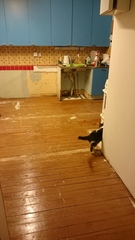 How to get paint off a wooden floor?