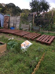 Planet viroid, a spiritual home for all of the shaggers! It's JS 61, this is going to be the big one!