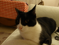 The Friendly Frugaleers, saving and chatting as autumn arrives