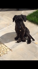 Before and after - a photo thread