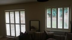 April 2017 #4 More baby scans, less morning sickness!