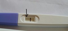 BFP??????