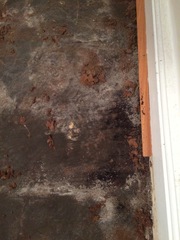 Help! Is this rising damp dangerous?
