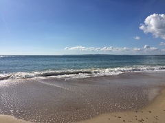 Brave Babes Battle Bus - Holding our heads up like thistles