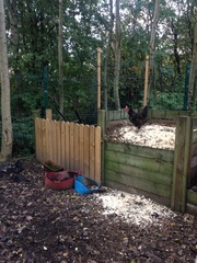 The Friendly Frugaleers, saving and chatting as autumn arrives