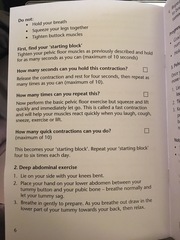 Due in February 2017 - thread #9