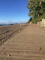 What to do in Toronto (by myself) in October