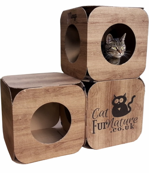 Cat beds