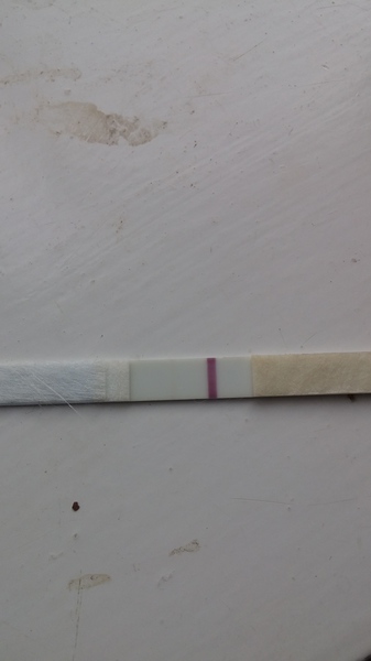 very very faint line on pregnancy test