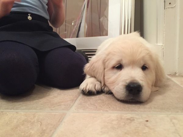 Puppy pictures!!