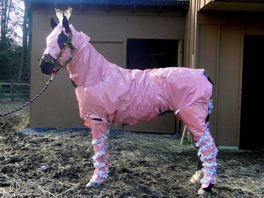 'Oh I'll never spoil mine at Christmas' well behold, under our tree there will be......