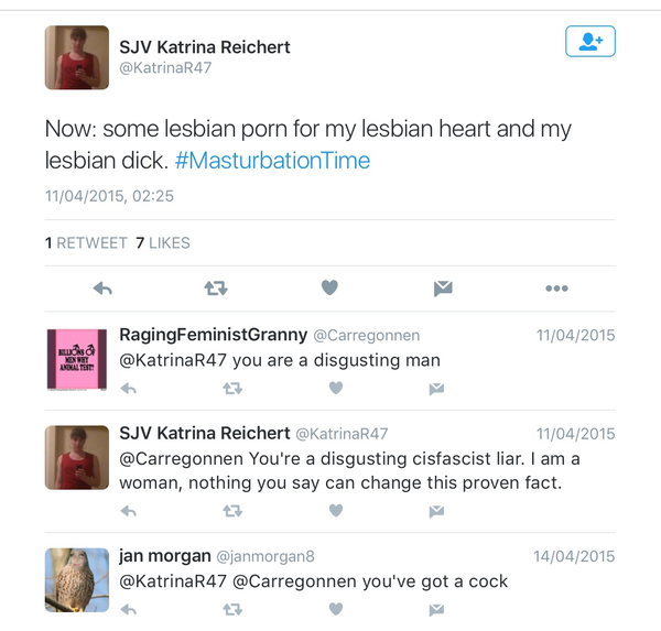 To not really understand why some people are so upset by transwomen using public toilets?