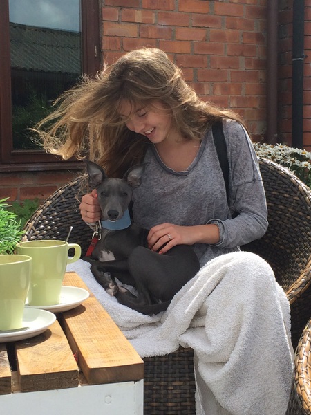 Any knitters who could help me with a Christmas present?