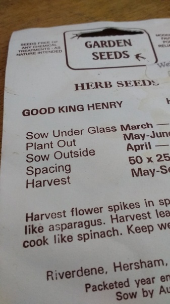 Allotment/Veg Patch - Thread 7 - The Harvesters Arms
