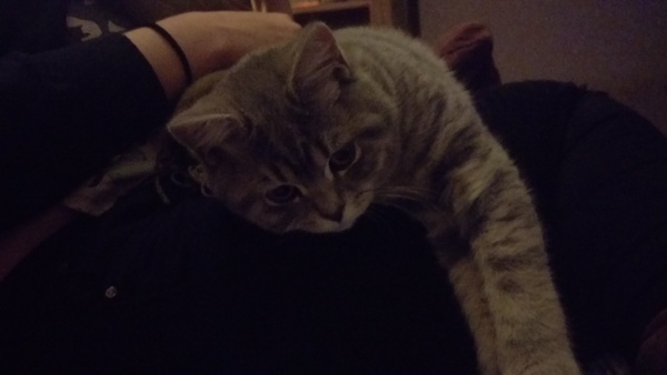 Show me your pussy!